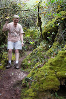 A tourist in the mossy forest
