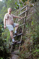 A tourist in the mossy forest