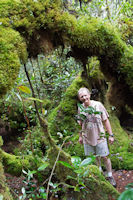 A tourist in the mossy forest