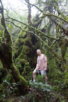 A tourist in the mossy forest