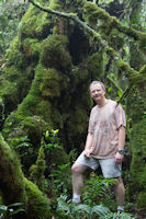 A tourist in the mossy forest
