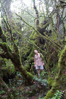 A tourist in the mossy forest