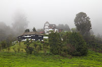 The houses of the original manager and owner of the tea plantation
