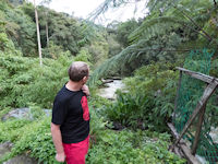 Tourist by Thompson waterfalls, Brinchang