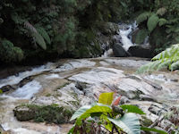 Thompson waterfalls, Brinchang