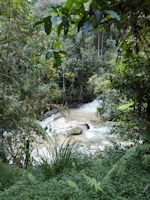 Thompson waterfalls, Brinchang