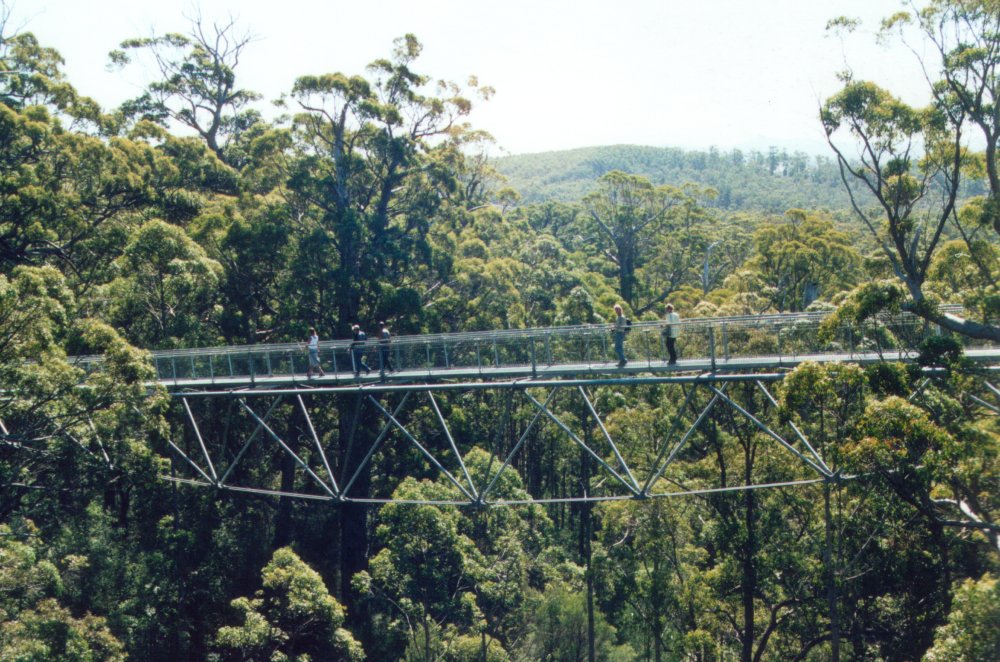 Highest span