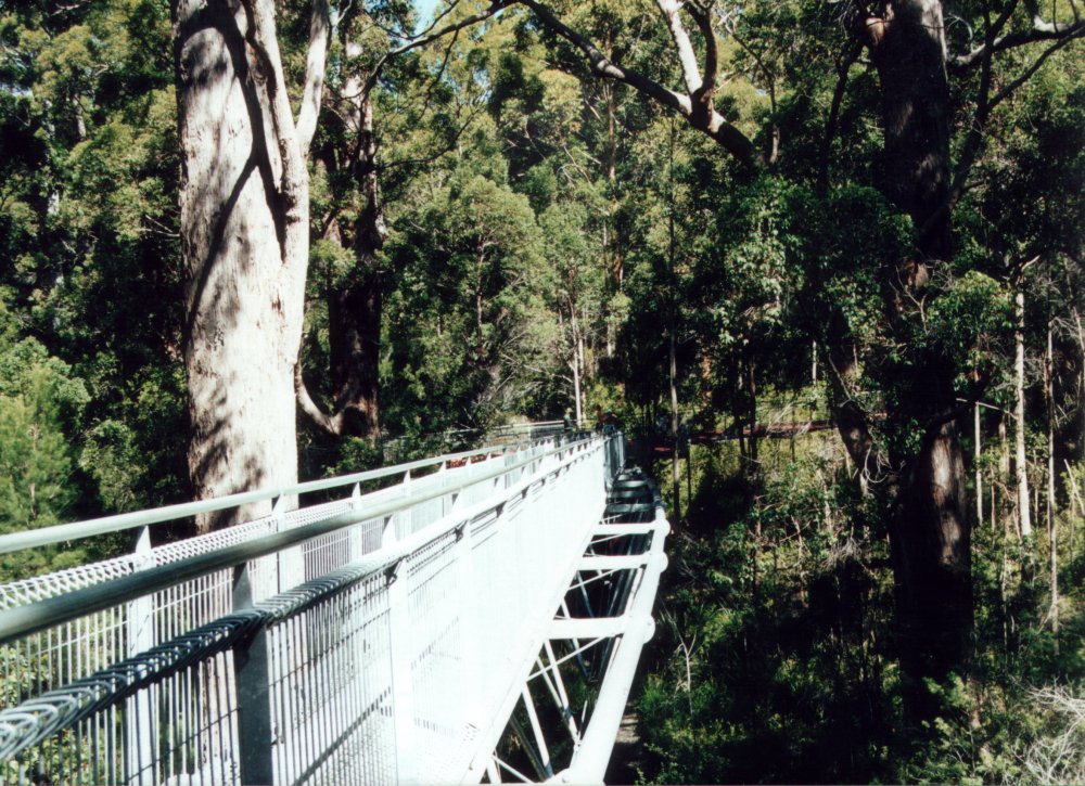 Looking back