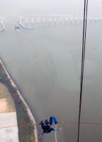 Bungy jumper falling past 58th floor