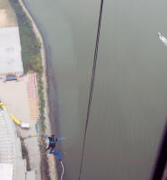 Bungy jumper falling past 58th floor