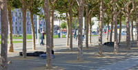 Down and outs sleeping at City Hall