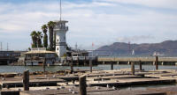Sea lions at Pier 39
