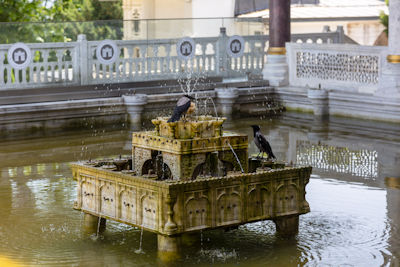 Birds bathing in a fountain